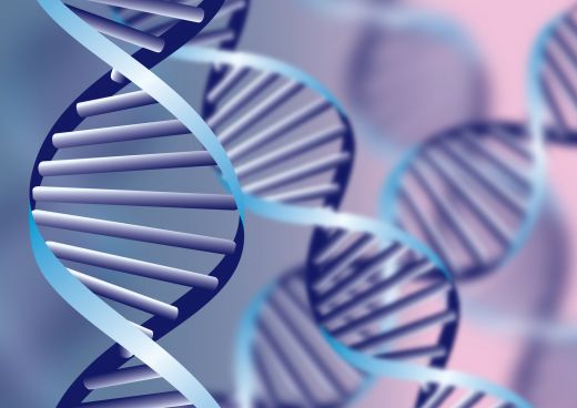 Zukunftstechnologien Genetik DNA (Fo)