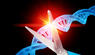 Genschere-DNA-GenomeEditing-CRISPR
